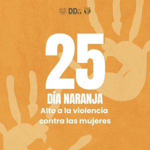 Este 25 de octubre conmemoramos el D&iacute;a Naranja