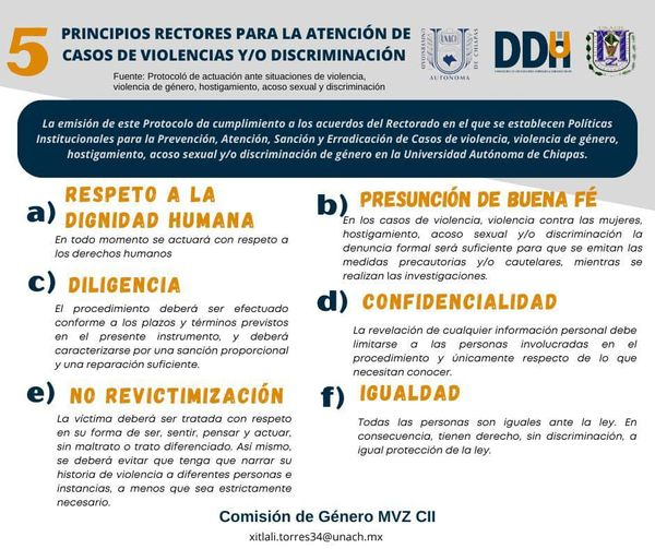 Conoce los principios rectores para la atención de casos de violencias y/o discriminación